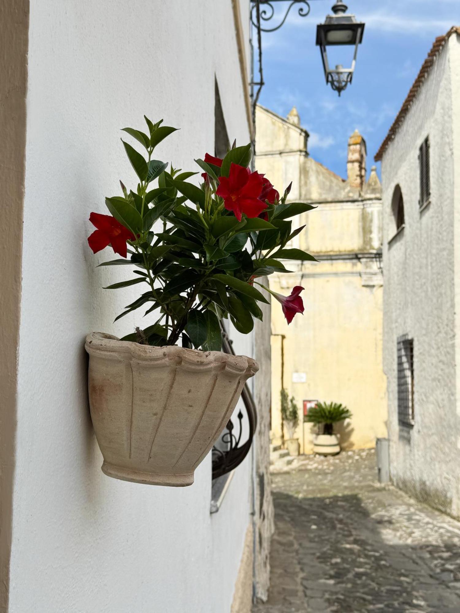 Apartment Casa Lia - Independent In The Gulf Of Orosei